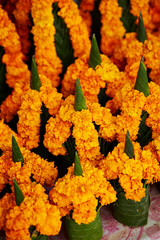 Orange flower decoration at flower shop