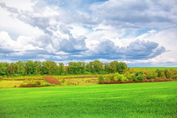 Obraz premium low clouds above green meadow