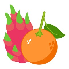 Exotic food icon. Isometric illustration of exotic food vector icon for web