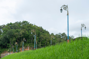 lamppost in park