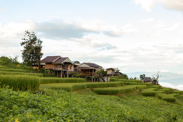 Fototapeta na wymiar Beautiful tourist accommodation scenery on high mountains, valleys, rice fields and agricultural plots.