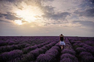 Fototapeta premium back view of a woman with hat in lavander field