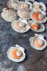 Shellfish, raw fresh scallops on black stone slate background. Seafood concepts.