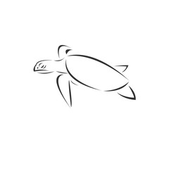 Vector of turtle on a white background, Animal. Pet. Easy editable layered  illustration. symbol. logo. icon