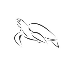 Vector of turtle on a white background, Animal. Pet. Easy editable layered  illustration. symbol. logo. icon