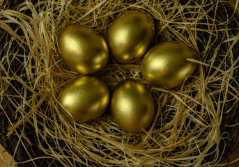 several golden chicken eggs in a nest