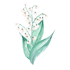 Fototapeta na wymiar Watercolor isolated bouquet with lilly of the valley spring flower. Tender romantic floral clipart for easter, wedding or engagement