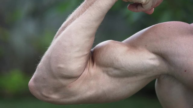 Close up of muscular pumped up male biceps, man training muscles on his arm