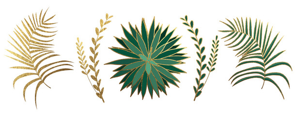 Fototapeta na wymiar Set of beautiful golden and green tropical plants. Varieties of shiny palm leaves and branches isolated on white background. Decoration elements for invitation, prints and other design