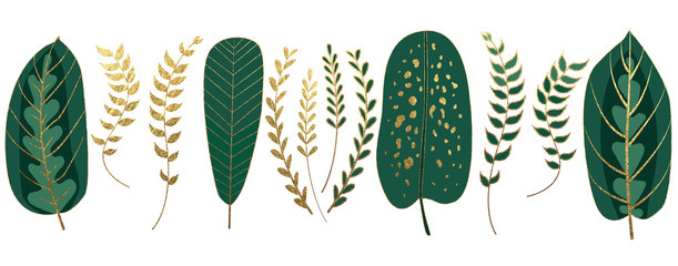 Set of beautiful golden and green tropical plants. Varieties of shiny leaves and branches isolated on white background. Decoration elements for invitation, prints and other design