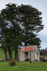 Fototapeta na wymiar Small barn. Abandoned farmhouse. Catlins. New Zealand