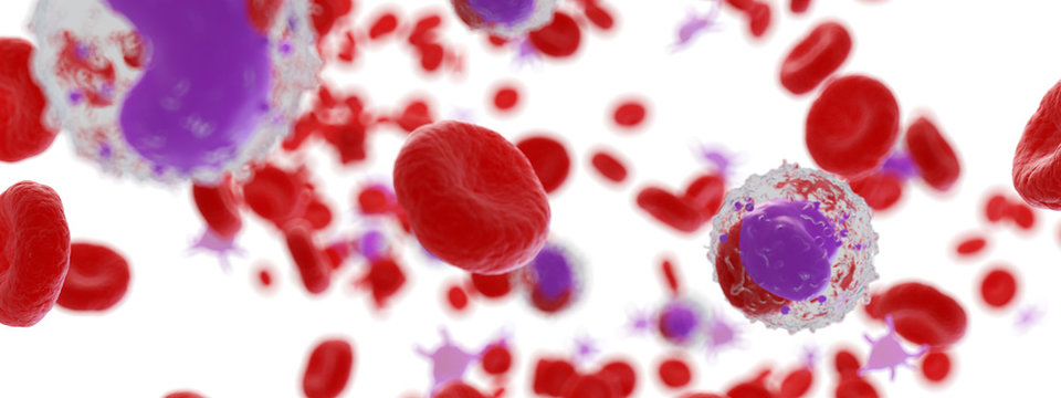 3d rendered illustration of human blood cells