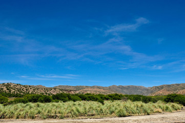 Bolivian landscape