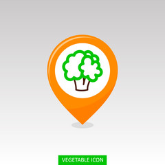Cauliflower flat pin map icon. Vegetable vector