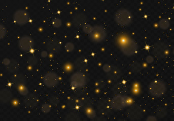 Fototapeta na wymiar The dust sparks and golden stars shine with special light. Vector sparkles on a transparent background. Christmas light effect. Sparkling magical dust particles.