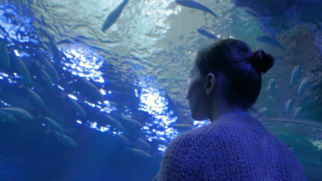 Portrait of woman looking at fish vortex in large public aquarium tank at oceanarium. Tourism, education, underwater life and entertainment concept