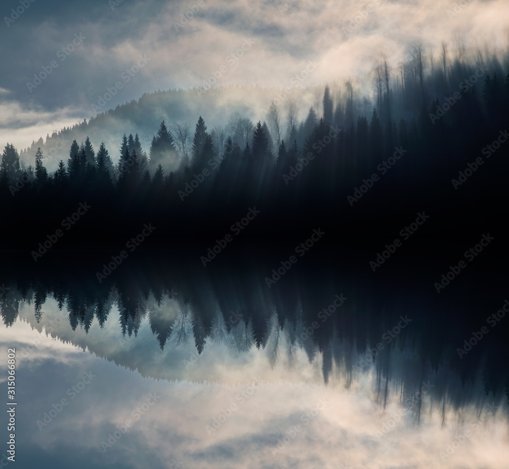 Wall mural abstract image with foggy forest that looks like sound-waves.