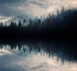 Abstract image with foggy forest that looks like sound-waves.  © belyaaa