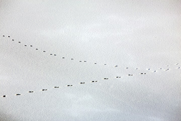 Abstract of a frozen lake in cold winter. 