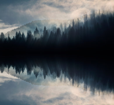 Fototapeta Abstrakcyjny obraz z mglistym lasem, który wygląda jak fale dźwiękowe.