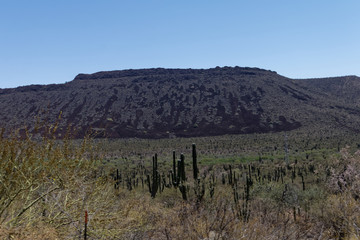 Pustynne górskie tereny stanu California w Meksyku