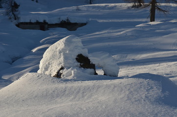 Winter landscape.