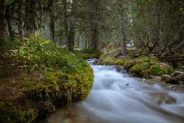 Waldbach 1