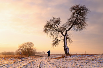 Morning run in cold winter nature, alone runner and tree, orange sunrise light, white edit space
