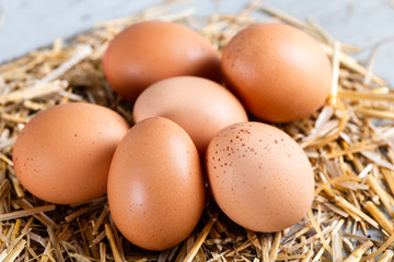 Close-up view of raw chicken eggs on hay.