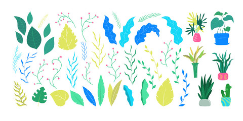 House plants set. Green healthy leaves, flowers, berries,