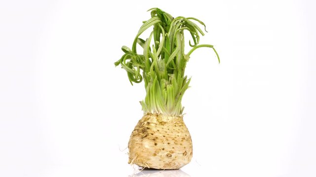 Celeriac turning on white background