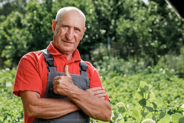 Portrait of an adult farmer, smiling and looking at the camera. A cheerful old man with gray hair wearing an outdoor apron with a copy of the space