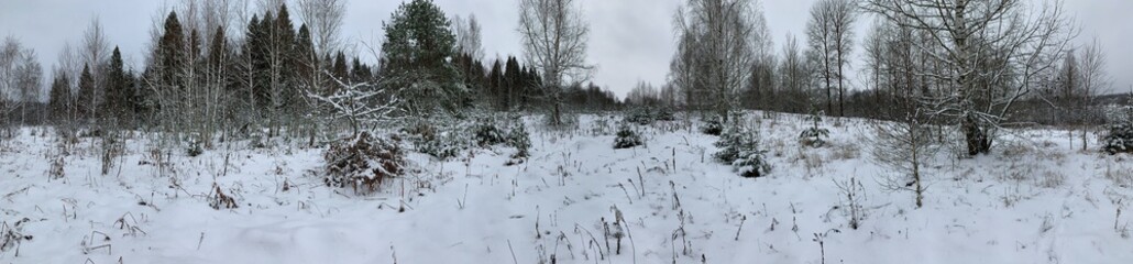 Panoramic view with winter landscape and wooded area