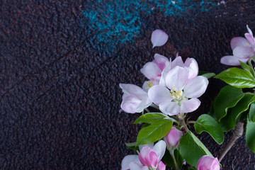 Naklejka na ściany i meble Spring tree apple flowers