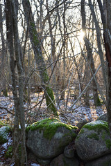 Old mossy stone wall
