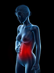 3d rendered medically accurate illustration of a woman having a painful belly