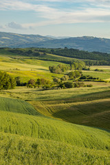Tuscany - Landscape panorama, hills and meadow, Toscana - Italy