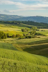 Fotobehang Tuscany - Landscape panorama, hills and meadow, Toscana - Italy © ZoomTeam