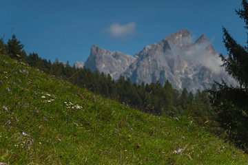 Obraz premium Alto Adige sunny day outdoor travel