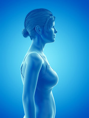 3d rendered medically accurate illustration of a woman