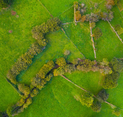 Aerial view, Countryside in La Gándara, Soba Valley, Valles Pasiegos, Alto Ason, Cantabria, Spain, Europe