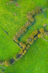 Aerial view, Countryside in La Gándara, Soba Valley, Valles Pasiegos, Alto Ason, Cantabria, Spain, Europe