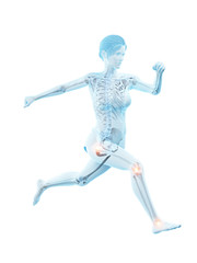 Fototapeta na wymiar 3d rendered medically accurate illustration of a woman having painful joints while running