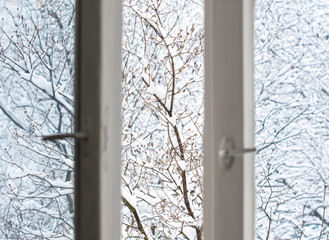 Tree branches in the snow are visible through the open window.