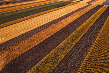 Agricultural fields from above, drone photography