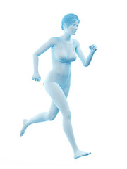 3d rendered medically accurate illustration of a woman running