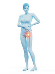 3d rendered medically accurate illustration of a woman having a painful hip