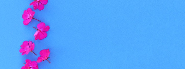 Banner for the site with pink flowers on a trendy blue background.