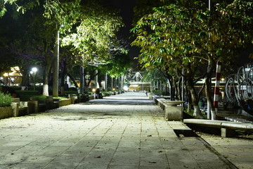 landscape of park in Vietnam in night