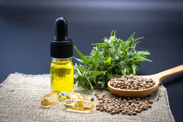 The leaves, seeds, bottles of hemp oil and CBD tablets, black background. The concept of medical marijuana in the treatment of diseases. There is a cycle of cannabis used, namely refined CBD hemp oil.
